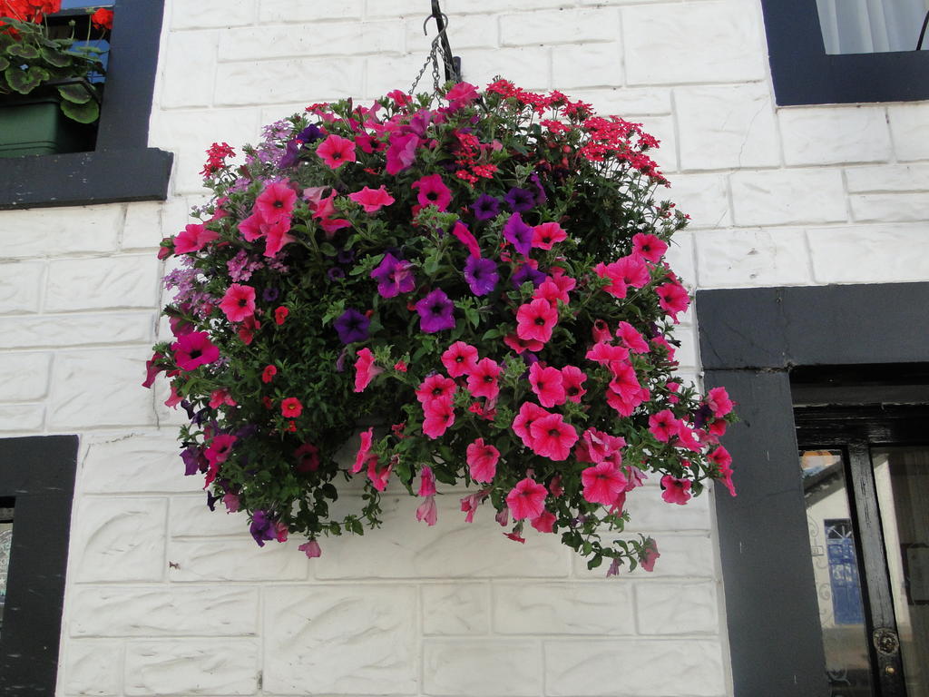 The Red Lion Inn Doune Esterno foto